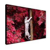 Beautiful White Tiger Realistic Wild Animal Painting